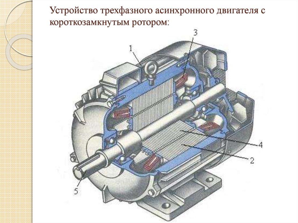 Устройство трехфазного асинхронного двигателя с короткозамкнутым ротором: