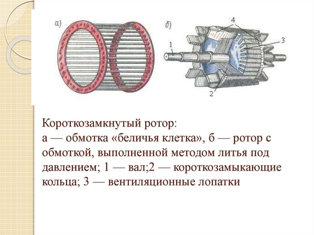 Расчет короткозамкнутого ротора