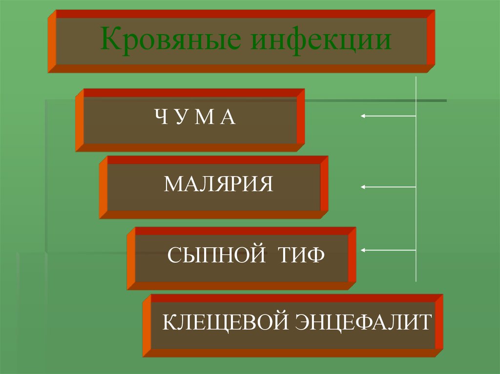 Презентация на тему кровяные инфекции