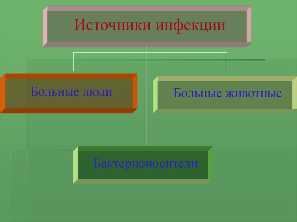 Наиболее распространенные инфекционные болезни причины их возникновения