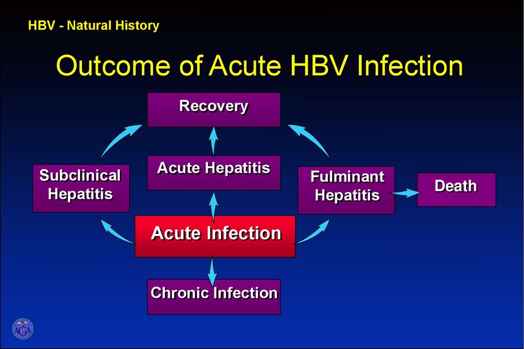 Clinical Outcome of Acute Hepatitis B