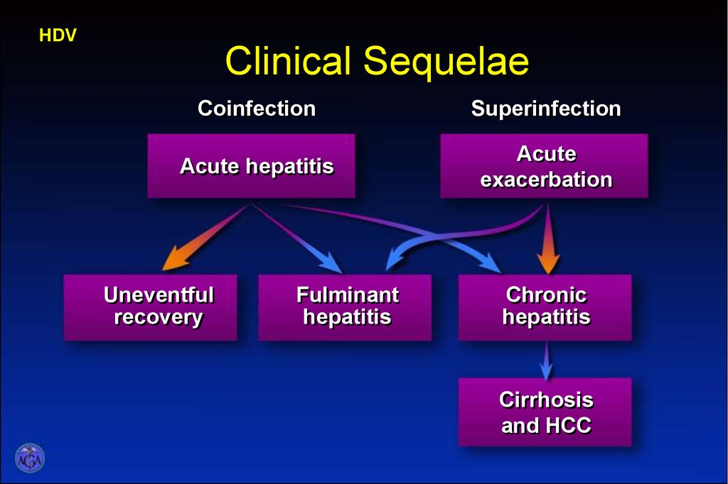 Clinical sequelae of HDV infection