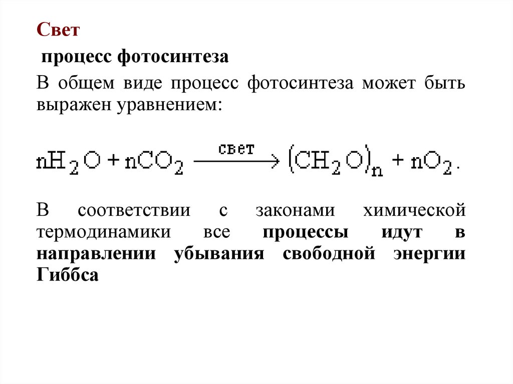 Света процесса