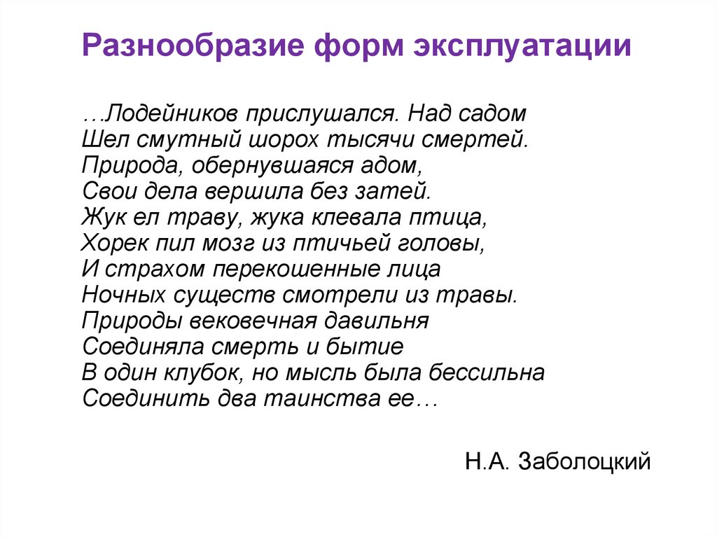 Над садом. Николай Заболоцкий Лодейников. Природа обернувшаяся адом Заболоцкий. Заболоцкий Лодейников прислушался. Жук ел траву жука клевала птица хорёк.