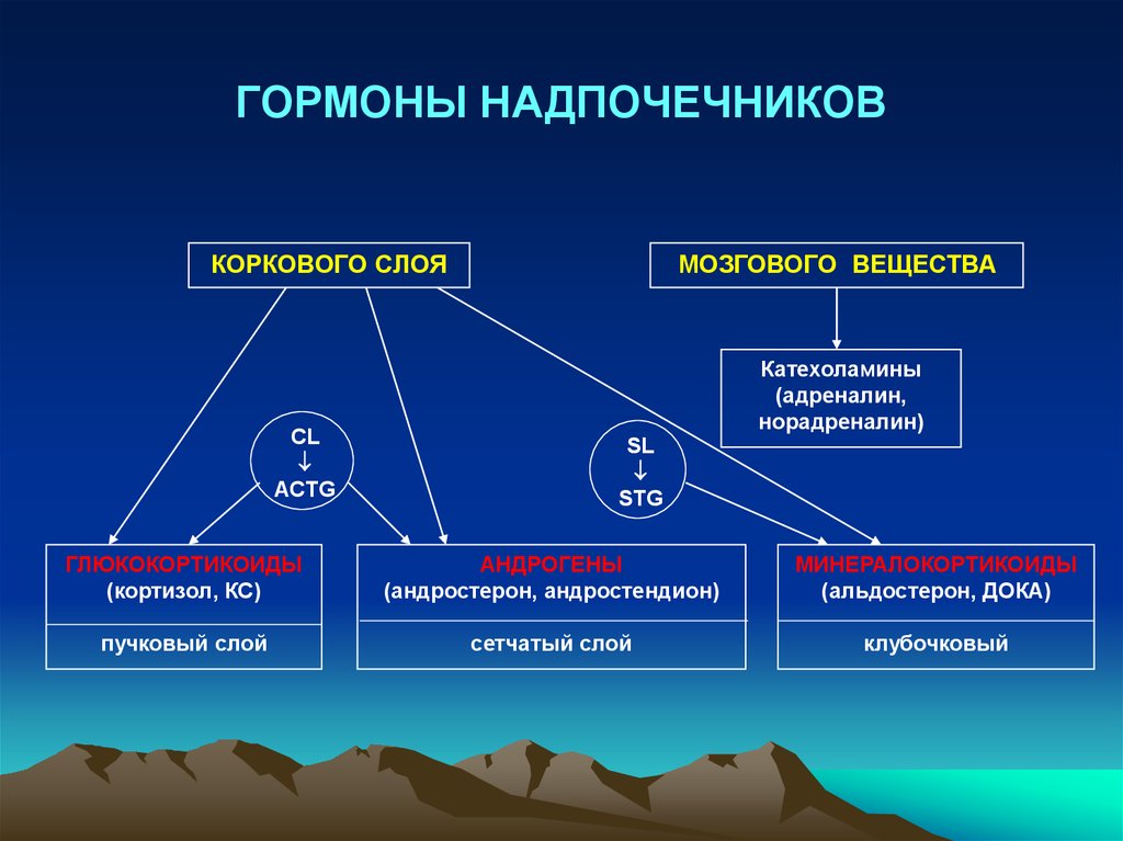 Назовите гормоны надпочечников