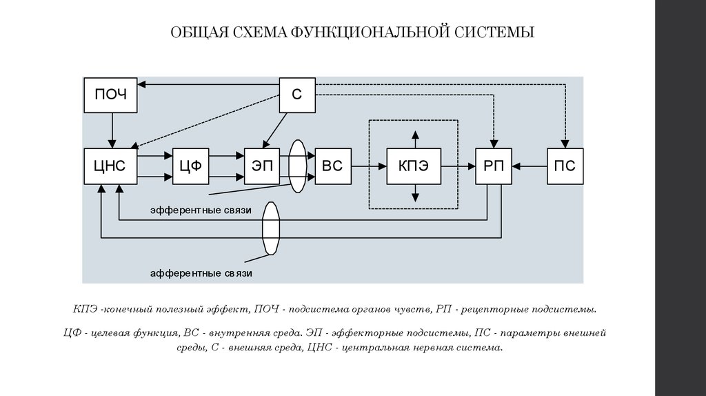 Структурная схема узи аппарата