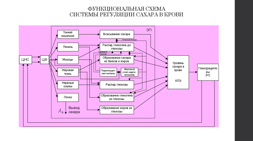 Функциональная схема что это