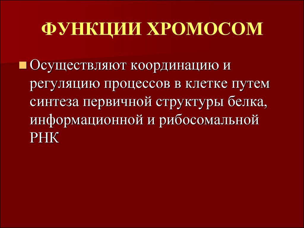 Структура и функции хромосом презентация