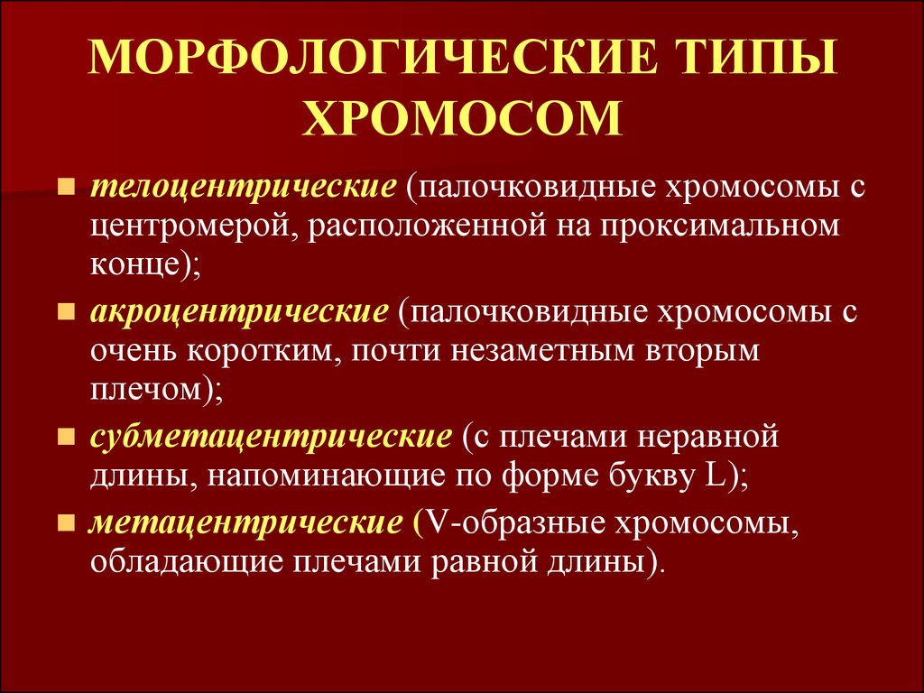 Типы хромосом. Морфологические типы хромосом. Морфологическая характеристика хромосом. Морфологические типы хромомс. Морфология и структура хромосом.