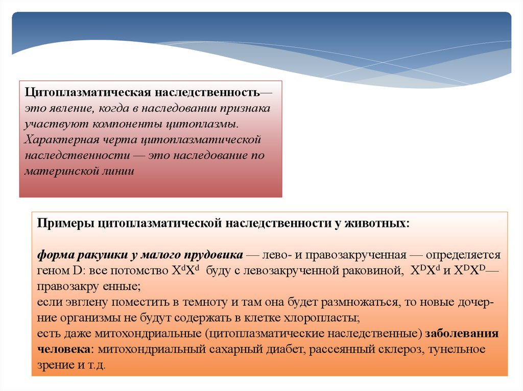 Цитоплазматическая наследственность презентация