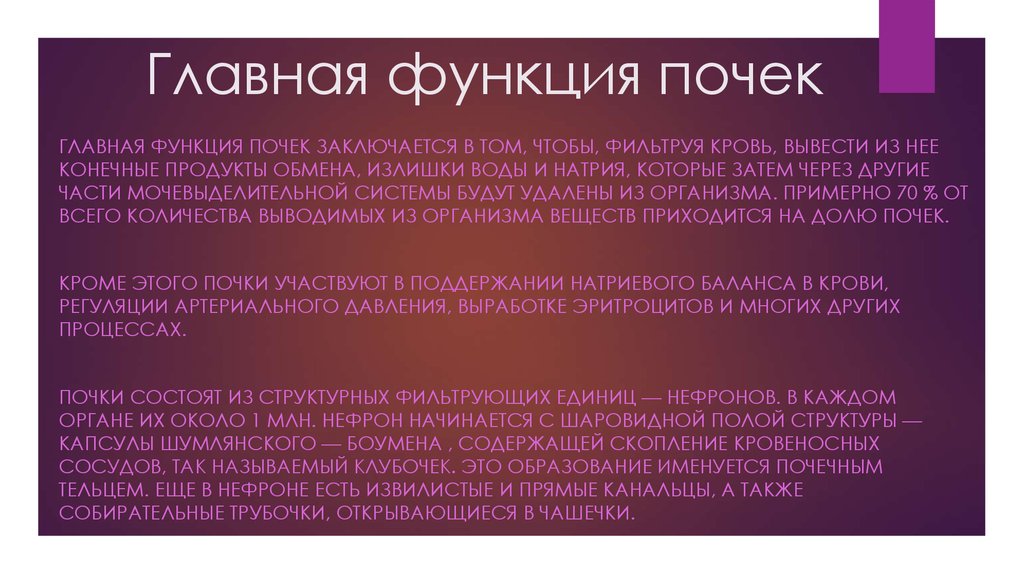 Главная функция почек