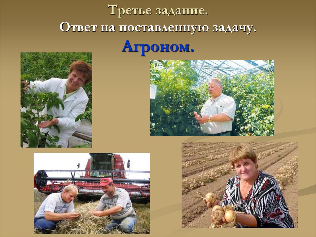 Задачи агронома