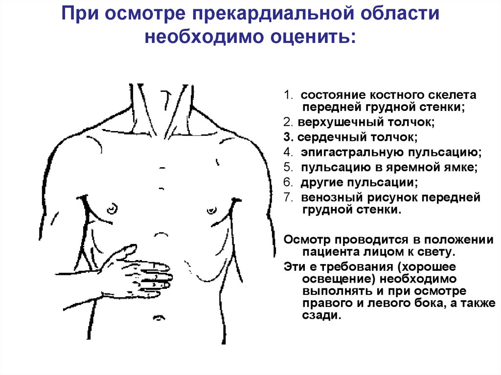 Осмотр грудной клетки. Пальпация эпигастральной области. Эпигастральная пульсация причины. Сердечный толчок и эпигастральная пульсация наблюдаются при. Осмотр эпигастральной области.