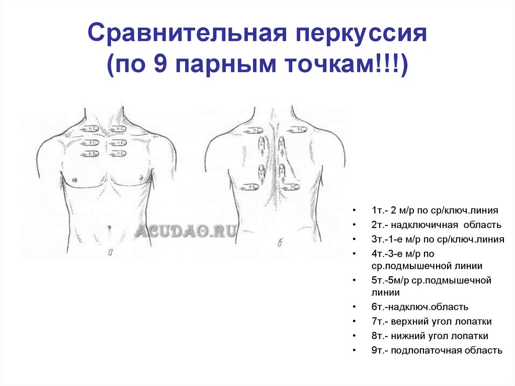 Аускультация легких рисунок