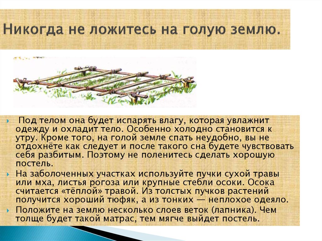 Под осыпающимся потолком не совсем все о сибири приложение