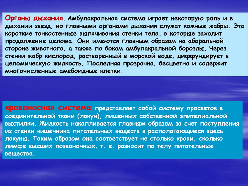 Какую роль играет дыхание в жизни. Амбулакральная система функции. Амбулакральная система функции и строение. Водно сосудистая амбулакральная система. Важную роль в дыхании играют:.