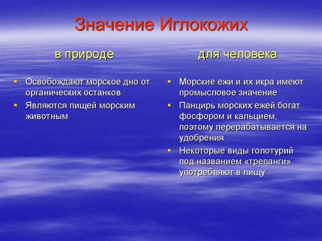 Что означает море. Значение иглокожих. Роль иглокожих в природе. Значение иглокожих в природе и в жизни человека. Иглокожие общая характеристика.