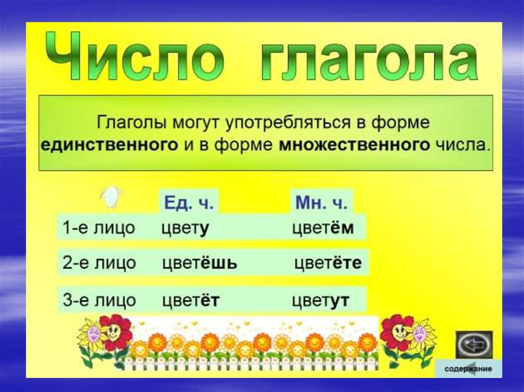 Цвести формы глагола. Число глаголов. Числа глаголов в русском языке. Глаголы в единственномчимле. Глагол множественного числа и единственного числа.