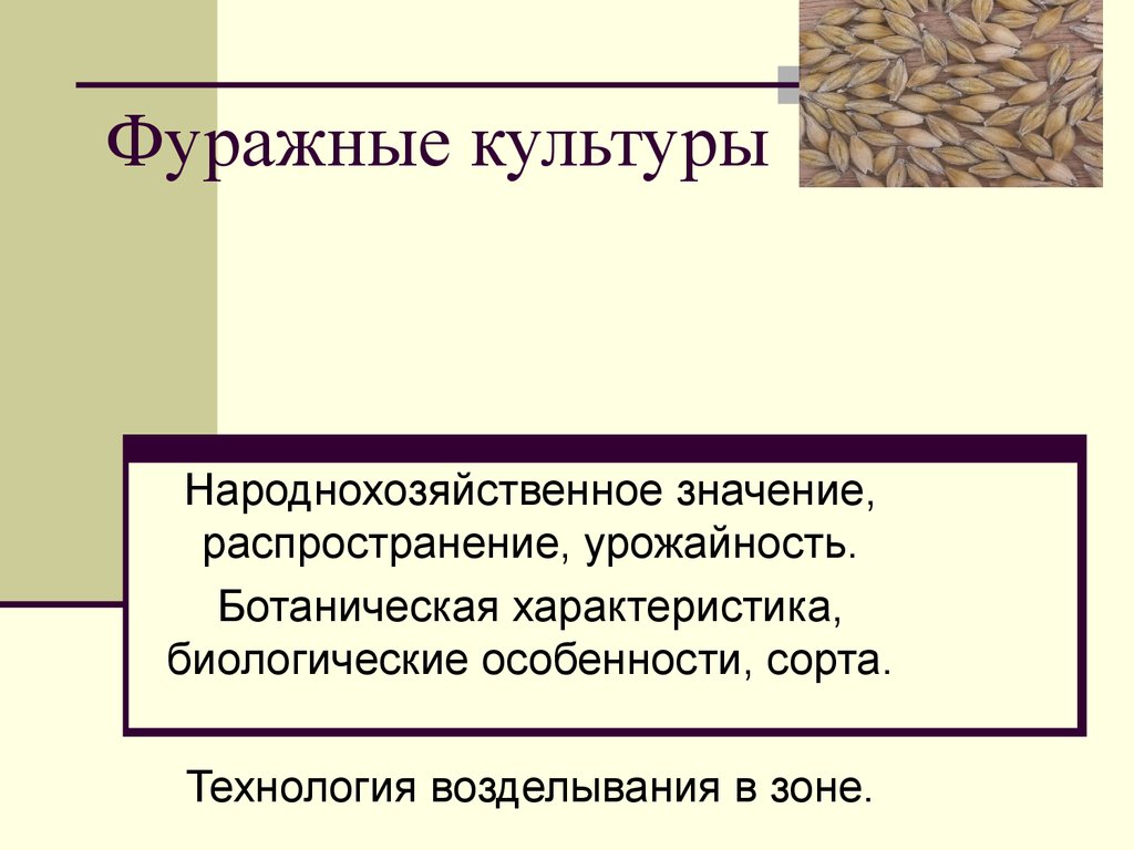 Принять культуру. Фуражные культуры. Фуражные культуры примеры. Народнохозяйственное значение культуры. Что относится к фуражным культурам.