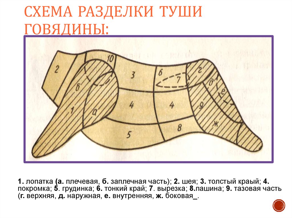 Схема разделки туши