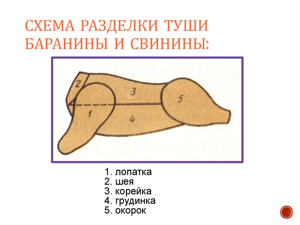 Части баранины. Схема разрубки бараньей туши. Схема разруба бараньей туши. Схема разруба туши баранины. Схема разделки туши баранины.