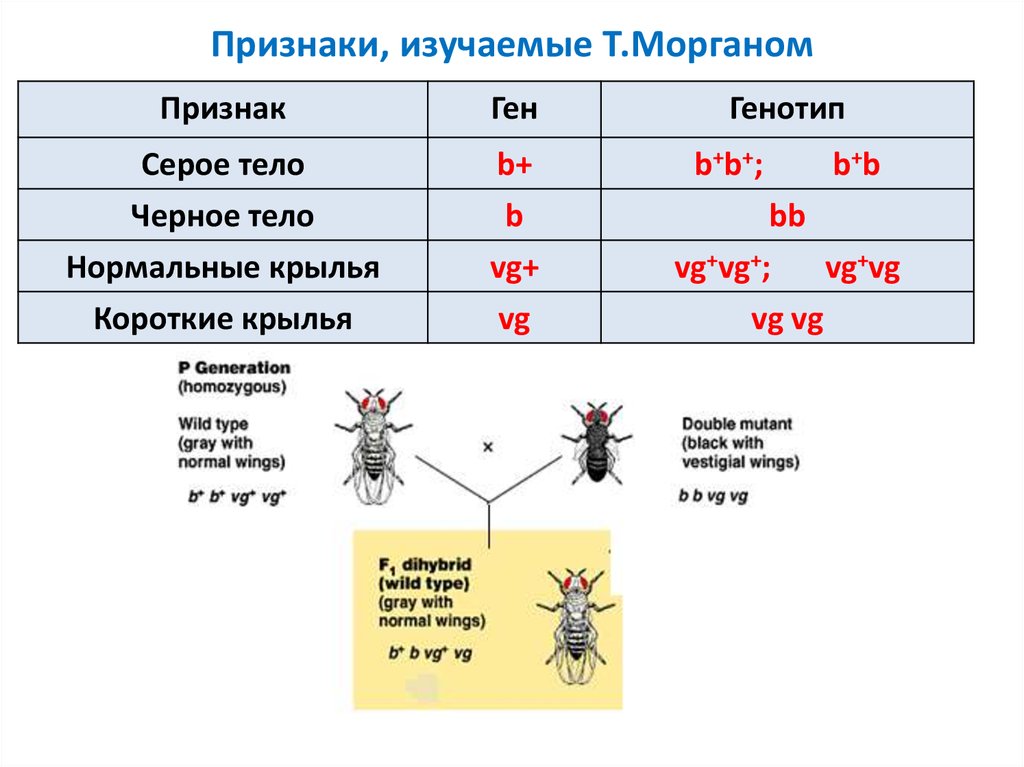 Изучение признаков