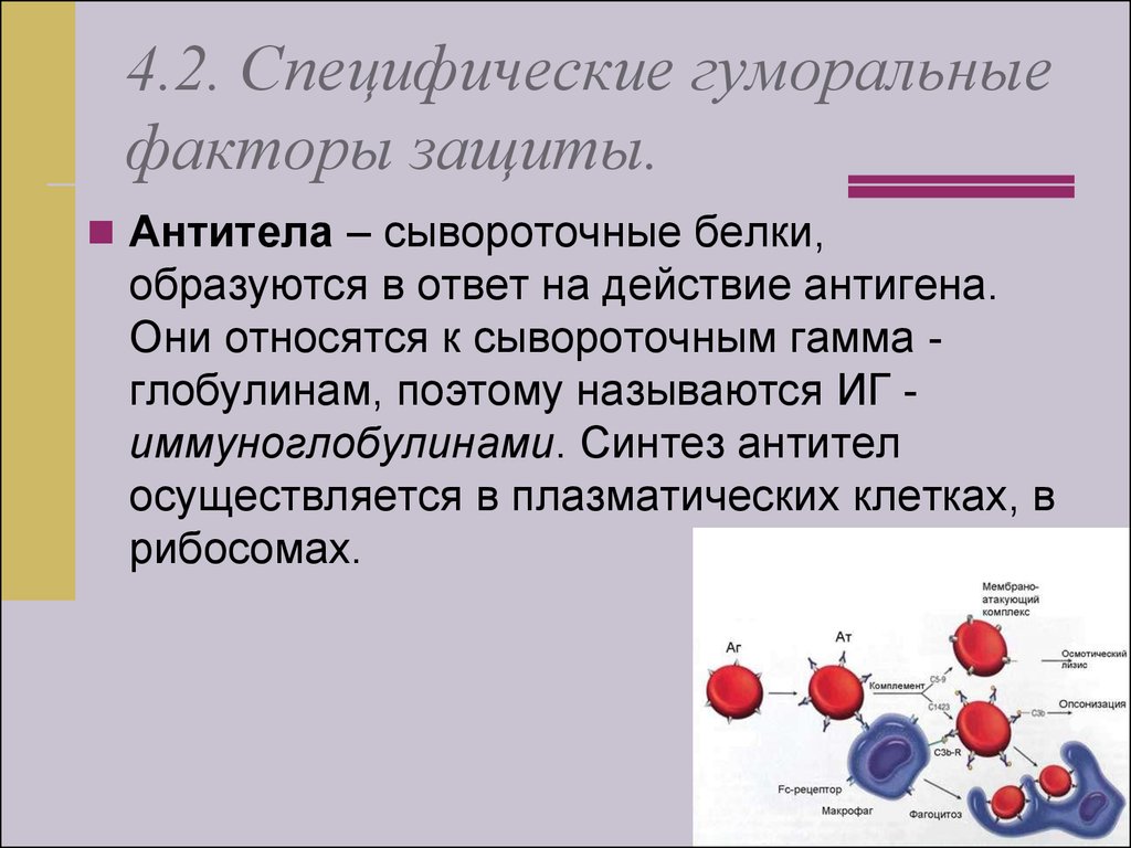 Специфические факторы