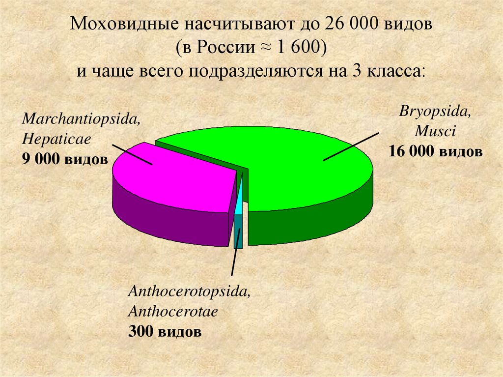 Моховидные насчитывают до 26 000 видов (в России ≈ 1 600) и чаще всего подразделяются на 3 класса: