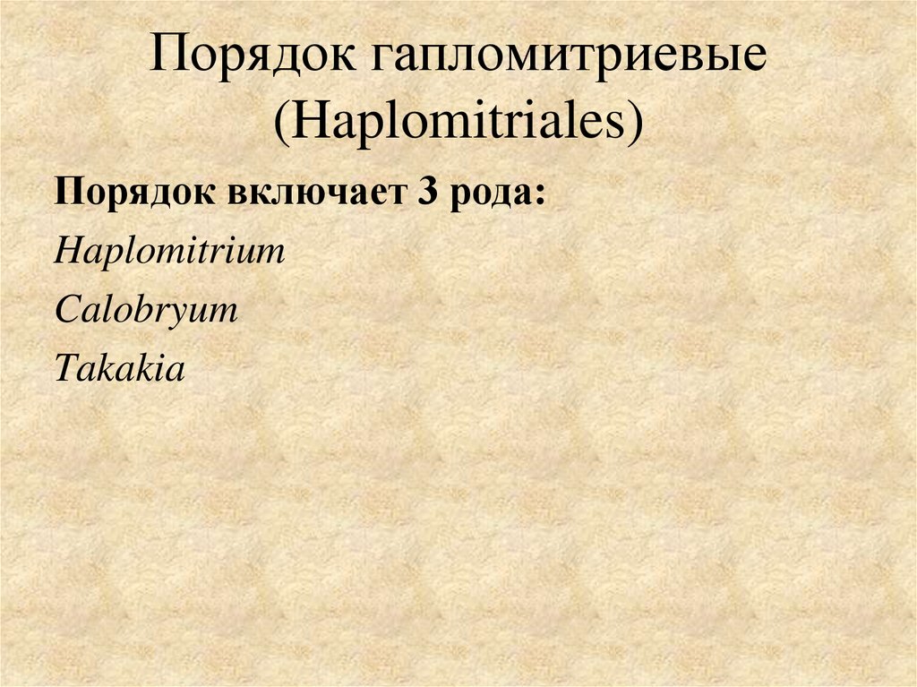 Порядок гапломитриевые (Haplomitriales)