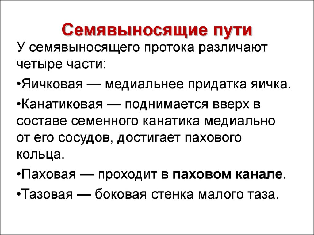 Путь порядка. Семявыносящие пути. Семявыносящие пути последовательность. Функции семявыводящих путей. Строение и функции семявыводящих путей.