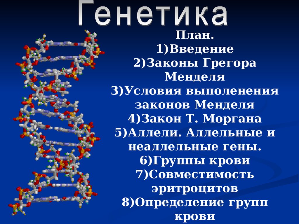 Законы генетики презентация