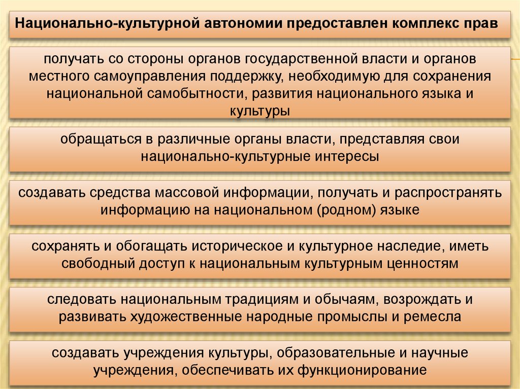 План основы национальной политики в рф план