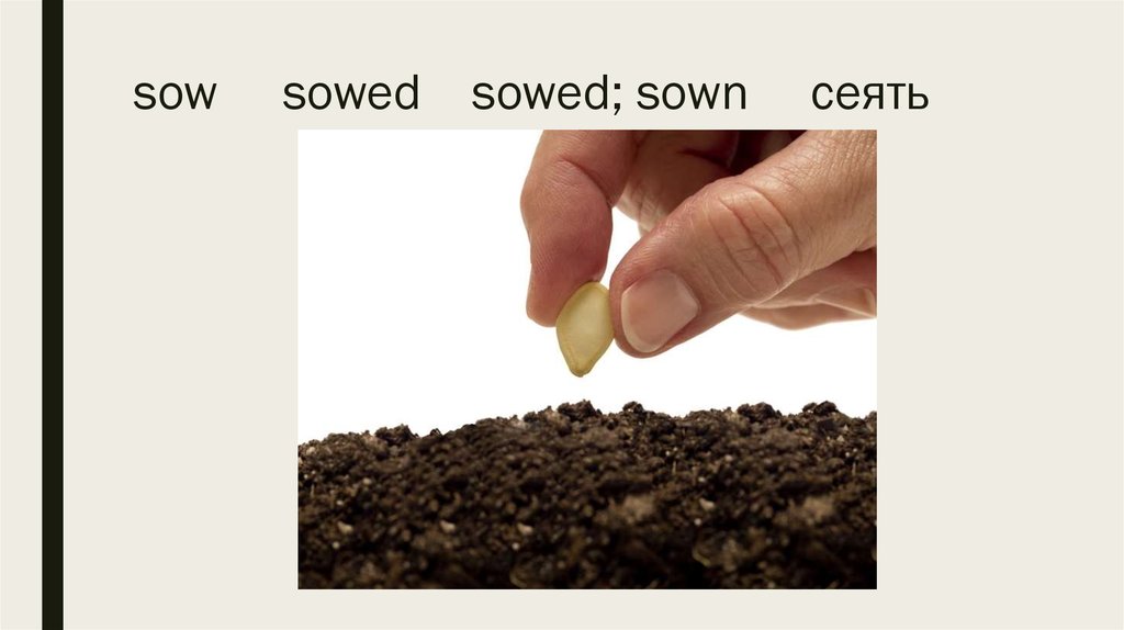 sow sowed sowed; sown сеять