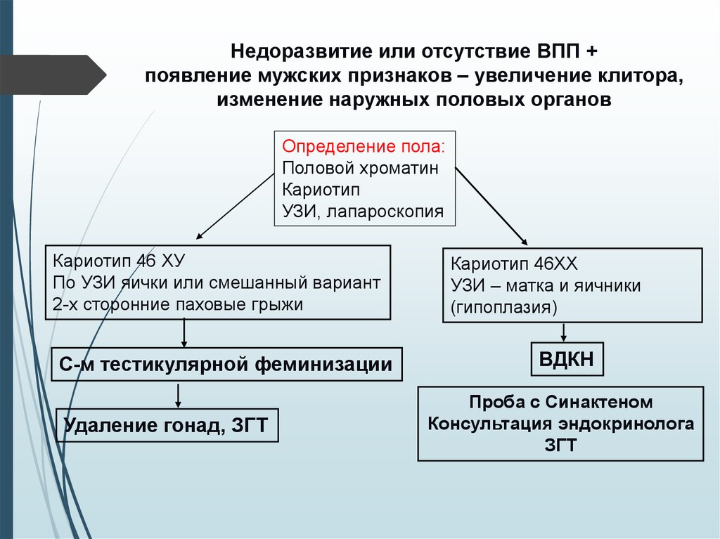 Гипоменструальный синдром презентация