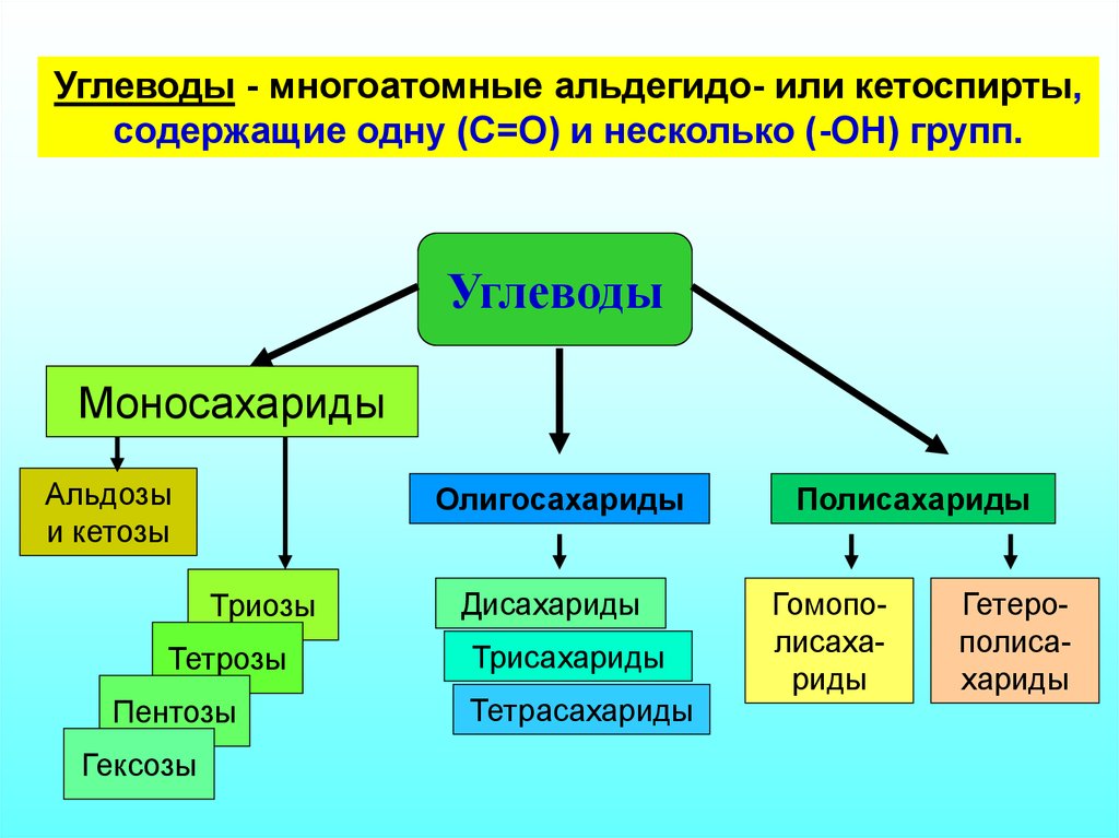 4 группы углеводов