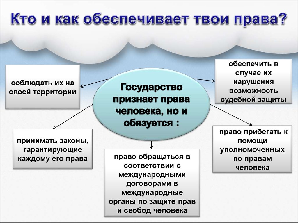 Кто и как гарантирует права человека в нашей стране индивидуальный проект