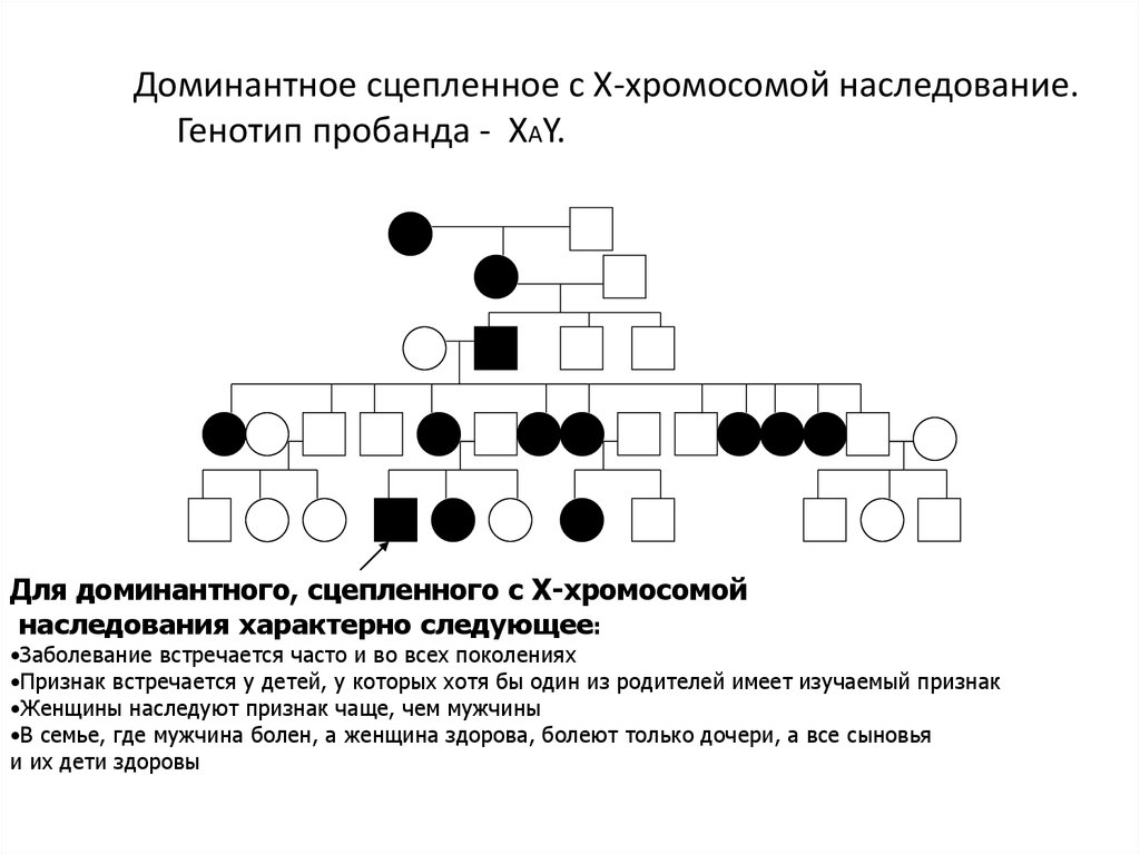 Сцеплен с х хромосомой доминантный. X сцепленный доминантный Тип наследования родословная. X-сцепленный доминантный Тип наследования задачи. Родословные задачи по генетике пробанд. Родословная у- сцепленный доминантный Тип наследования.