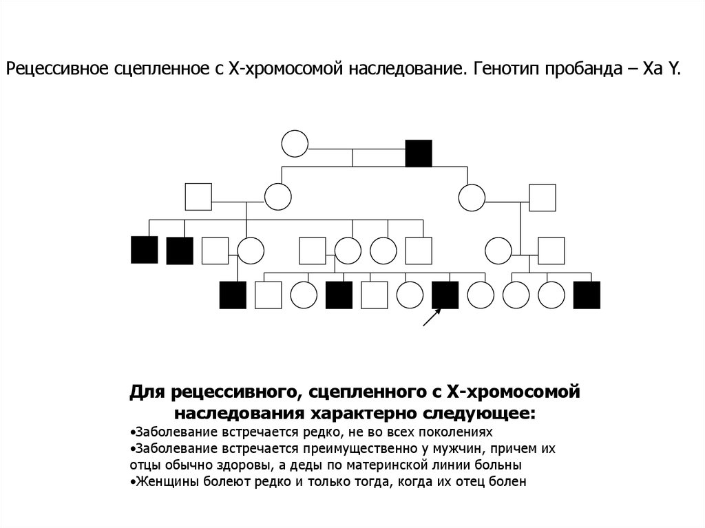 Сцеплено с х хромосомой наследуется