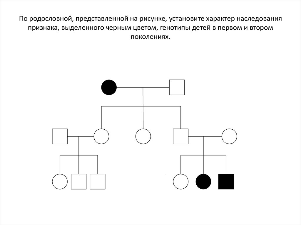 Схема составления родословной