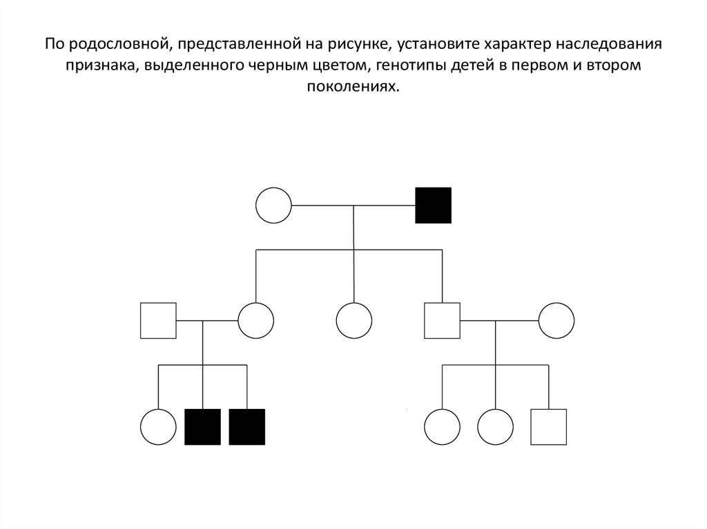 По изображенной на рисунке родословной установите вероятность