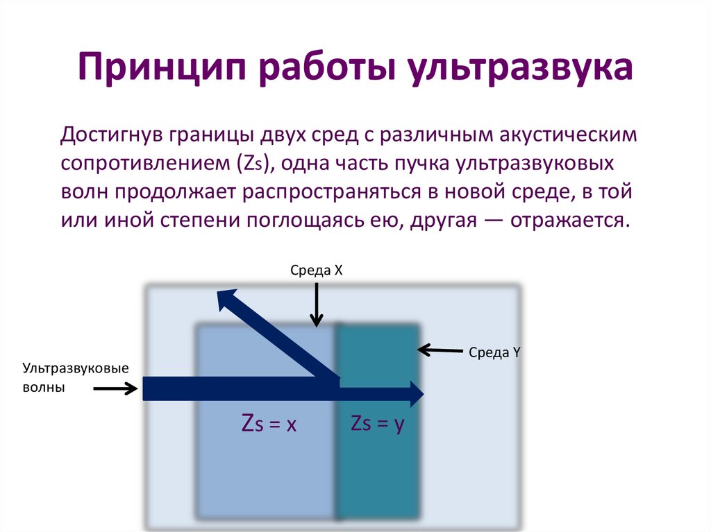 Проект по физике ультразвук