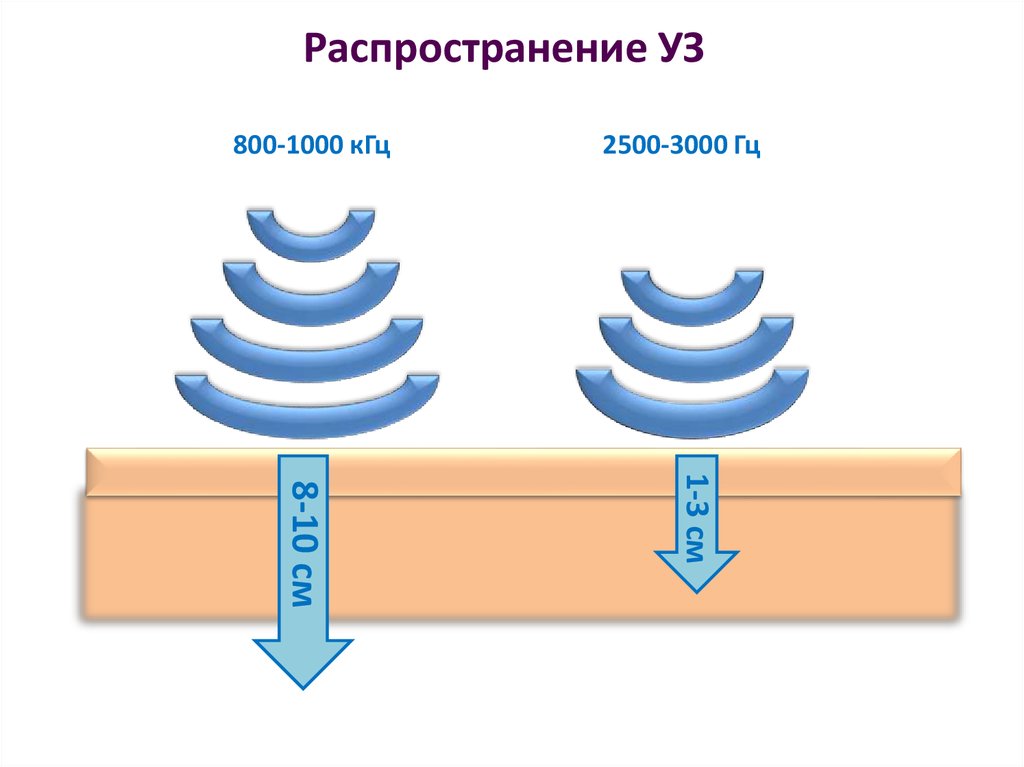 Школа ультразвука