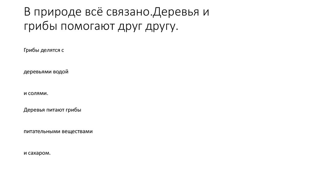 В природе всё связано.Деревья и грибы помогают друг другу.