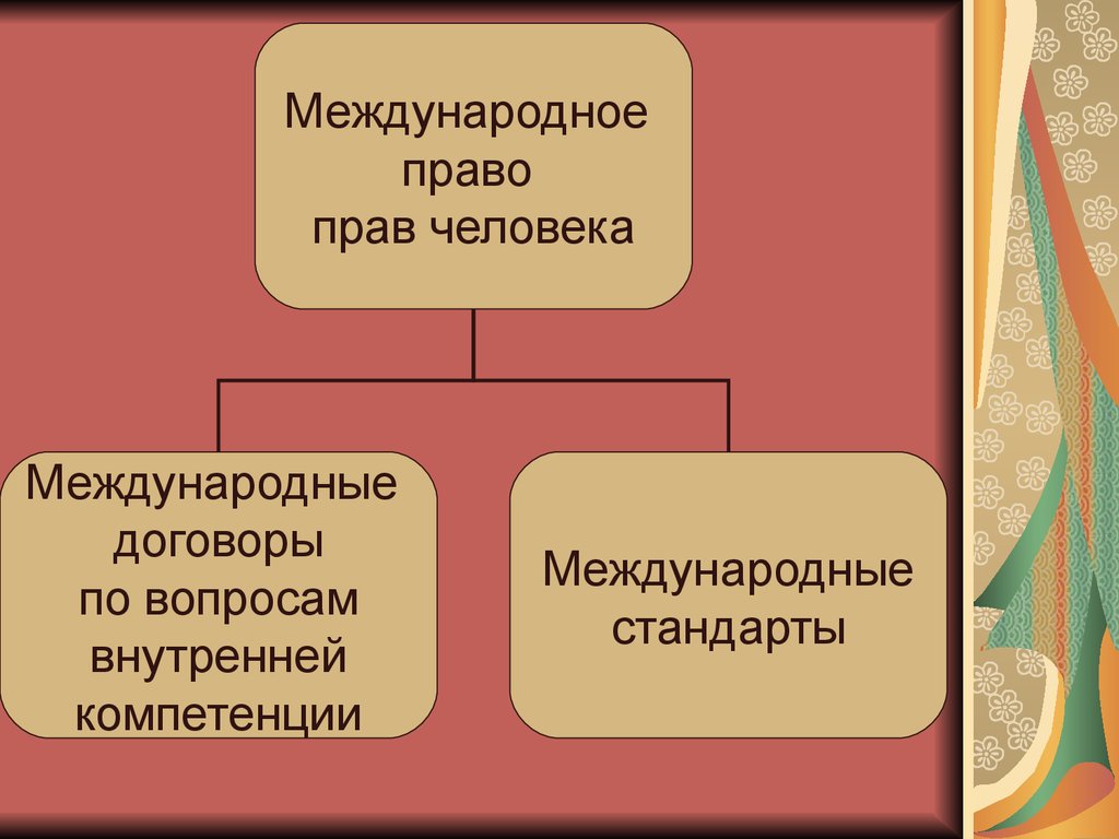 Презентация на тему международное право прав человека