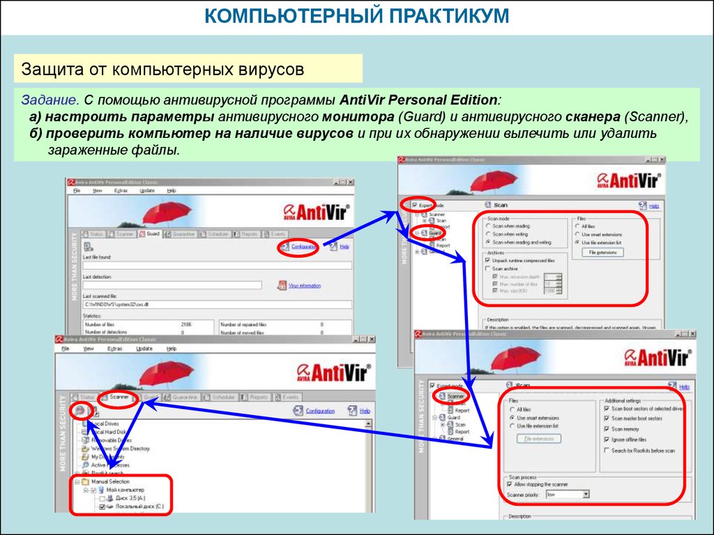 Проверить б. Компьютерный практикум. Компьютерный практикум Введение. Задание вирусы. Файлы для компьютерного практикума.