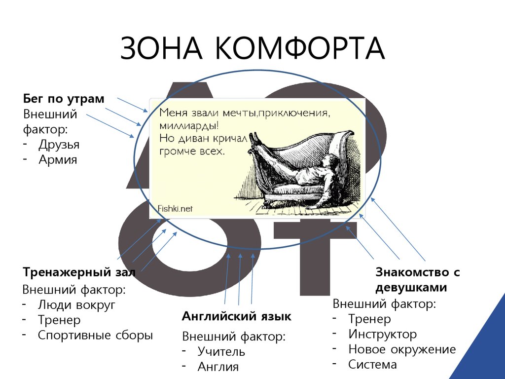 Картинка с муравейником про зону комфорта