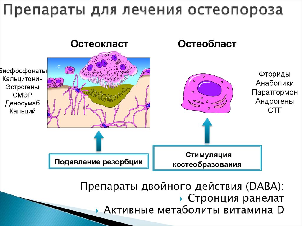 Лекарства от остеопороза у пожилых женщин. Препараты для лечения остеопороза. Препараты для лечения Остео. Препараты для терапии остеопороза. Средства для лечения остеопороза классификация.