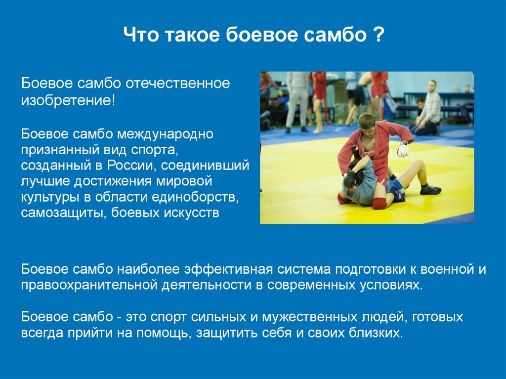 Термины самбо. Самбо вид спорта. Самбо доклад по физкультуре. Самбо описание. Презентация на тему боевое самбо.