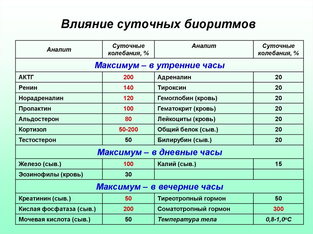 Выработка гормонов по часам в организме человека схема