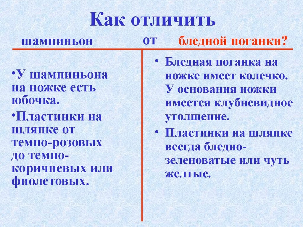 Сравнение бледной поганки и шампиньона сходство различия. Сходство бледной поганки и шампиньона. Схрдства бледной поганки от шампиньона. Сходство бледной поганки и шампиньона 2 класс. Сходство и различие шампиньона и бледной.